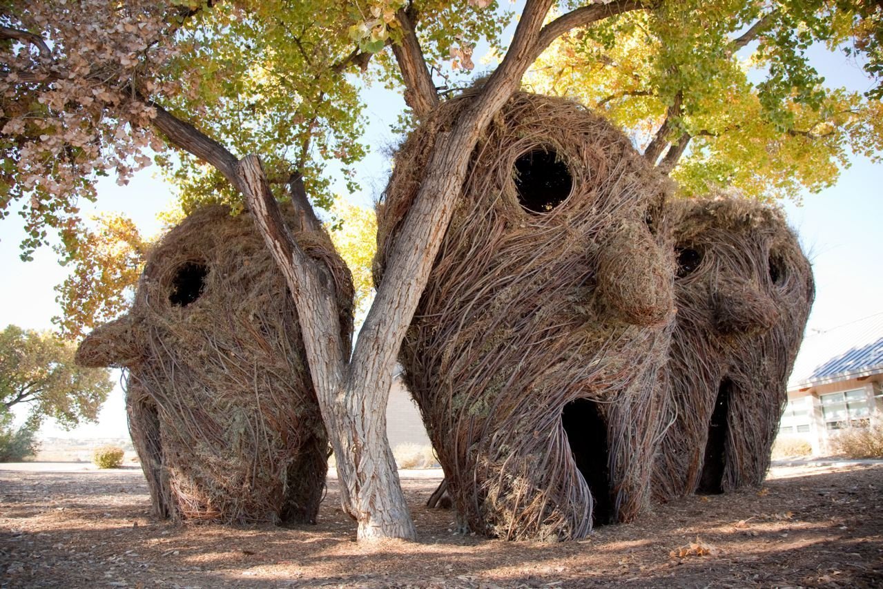 Необыкновенное примеры. Дерево Патрик Догерти. Скульптуры Patrick Dougherty. Необыкновенные деревья. Причудливые деревья.