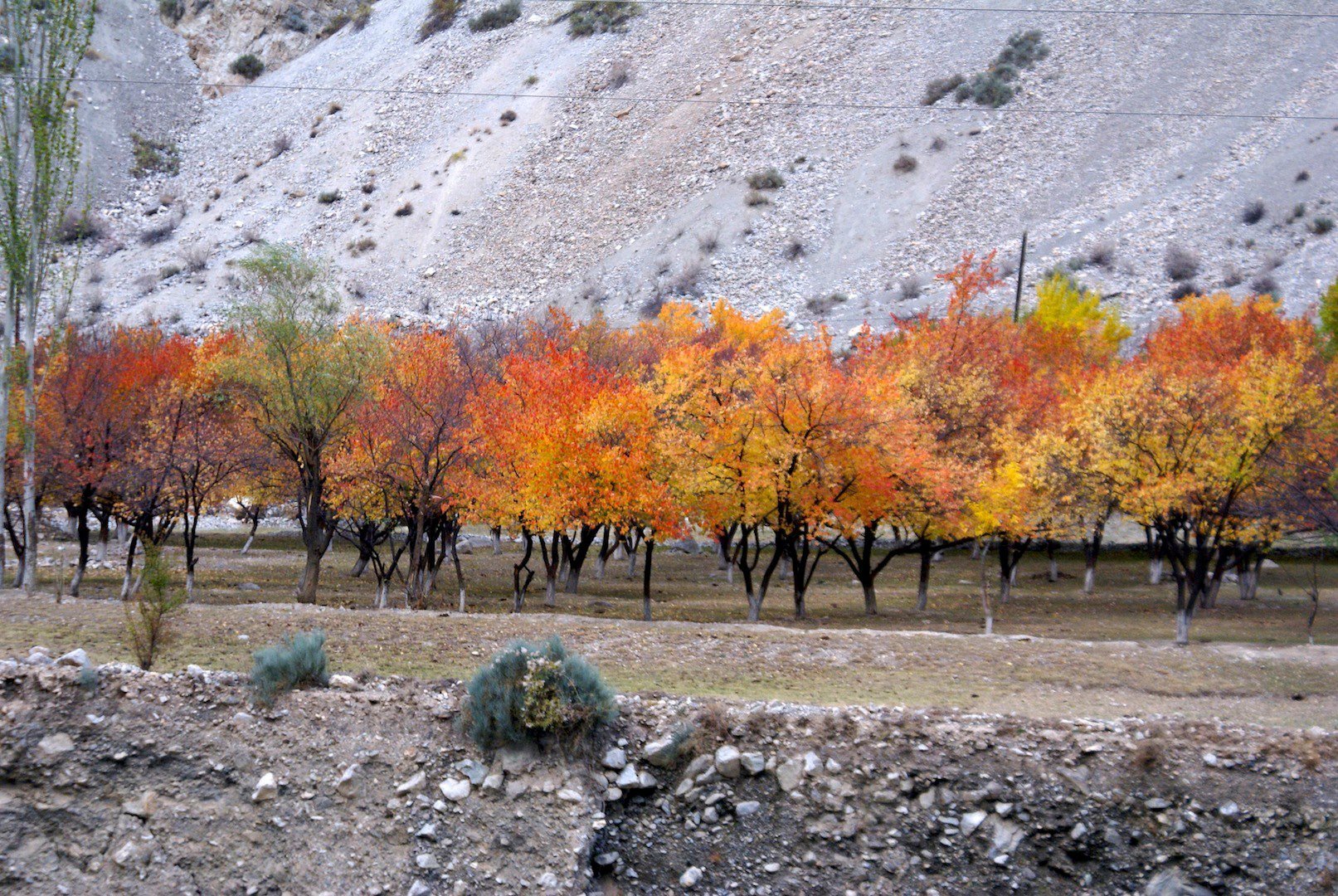Средняя азия в ноябре. Золотая осень в Таджикистане. Искандеркуль осенью Таджикистан. Природа Таджикистана Исфара. Таджикистан горы осень.