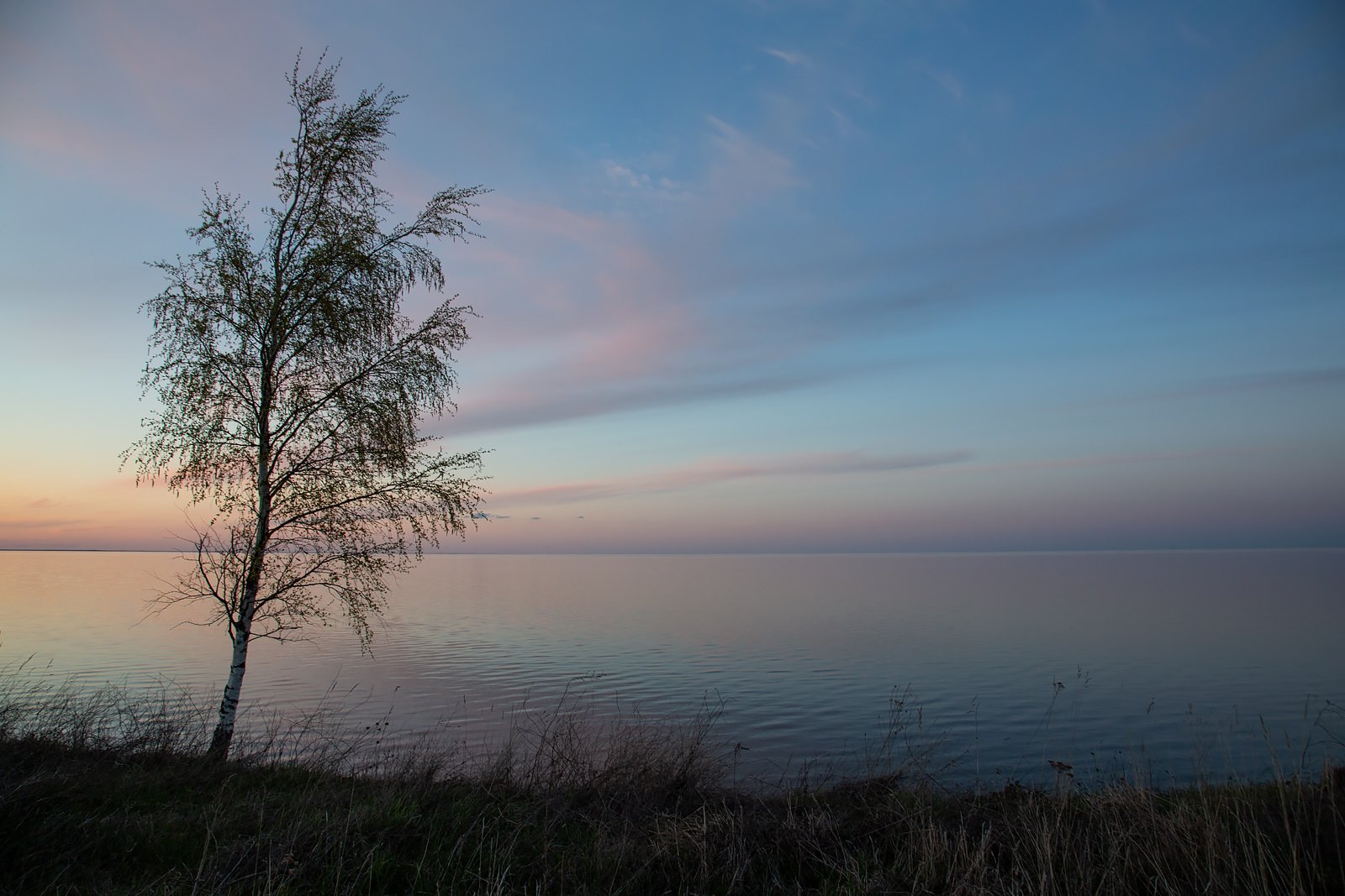 Название озера ильмень. Озеро Ильмень. Озеро Ильмень Великий Новгород. Озеро Ильмень Коростынь. Былинное озеро Ильмень.