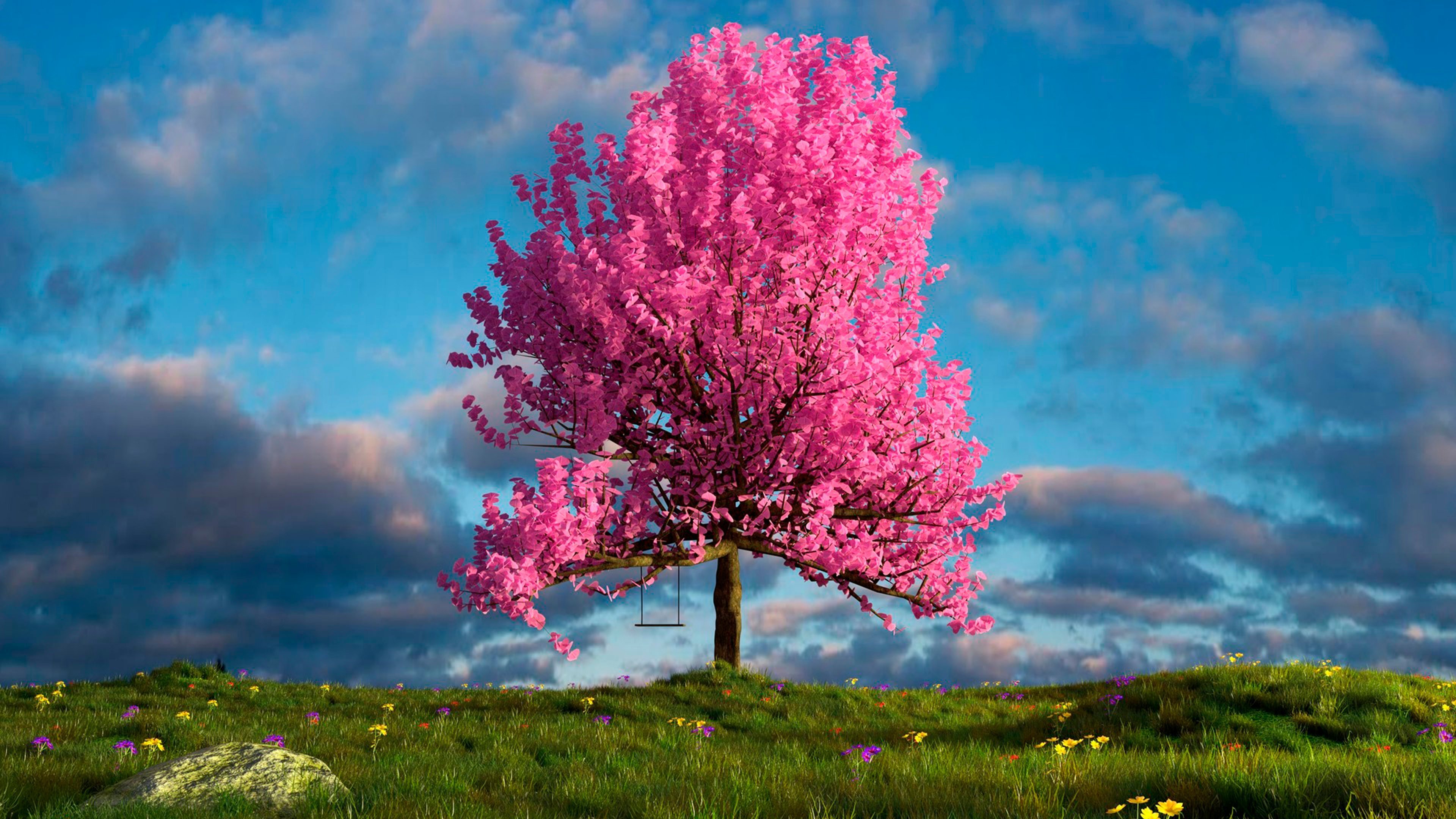 Big blossom. Красивое дерево. Цветущее дерево. Розовое дерево. Сакура дерево.
