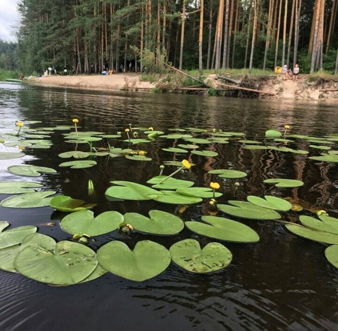 Озеро Мещерская заводь