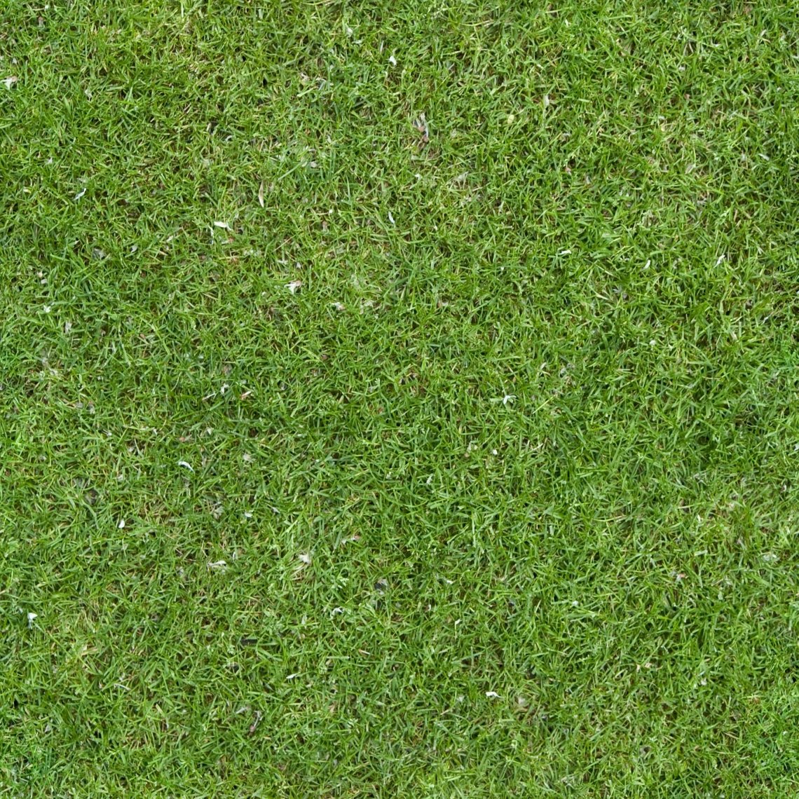 текстура травы из гта 5 фото 85