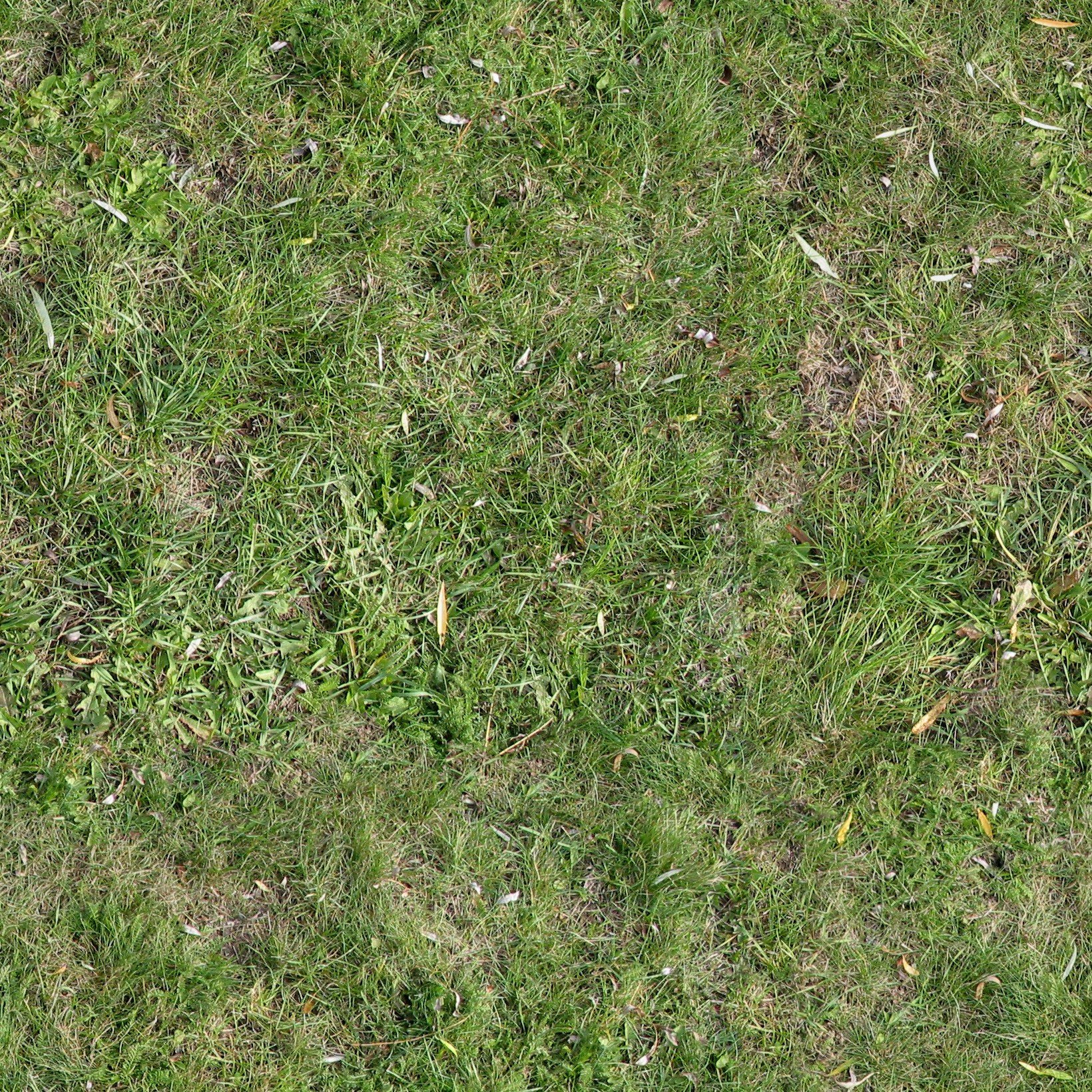Бесшовная текстура травы - 72 фото