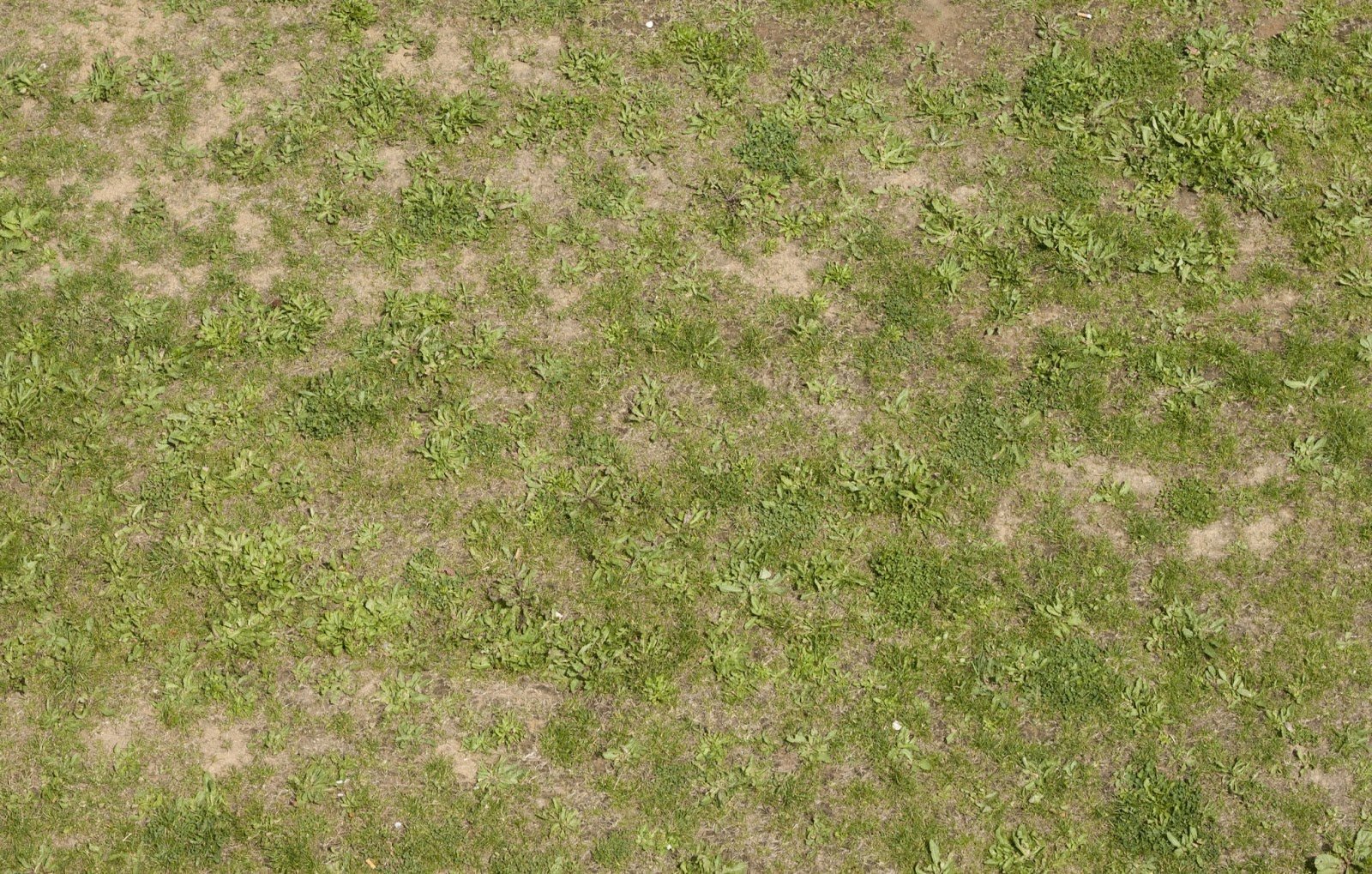 Бесшовная текстура земли с травой - 73 фото