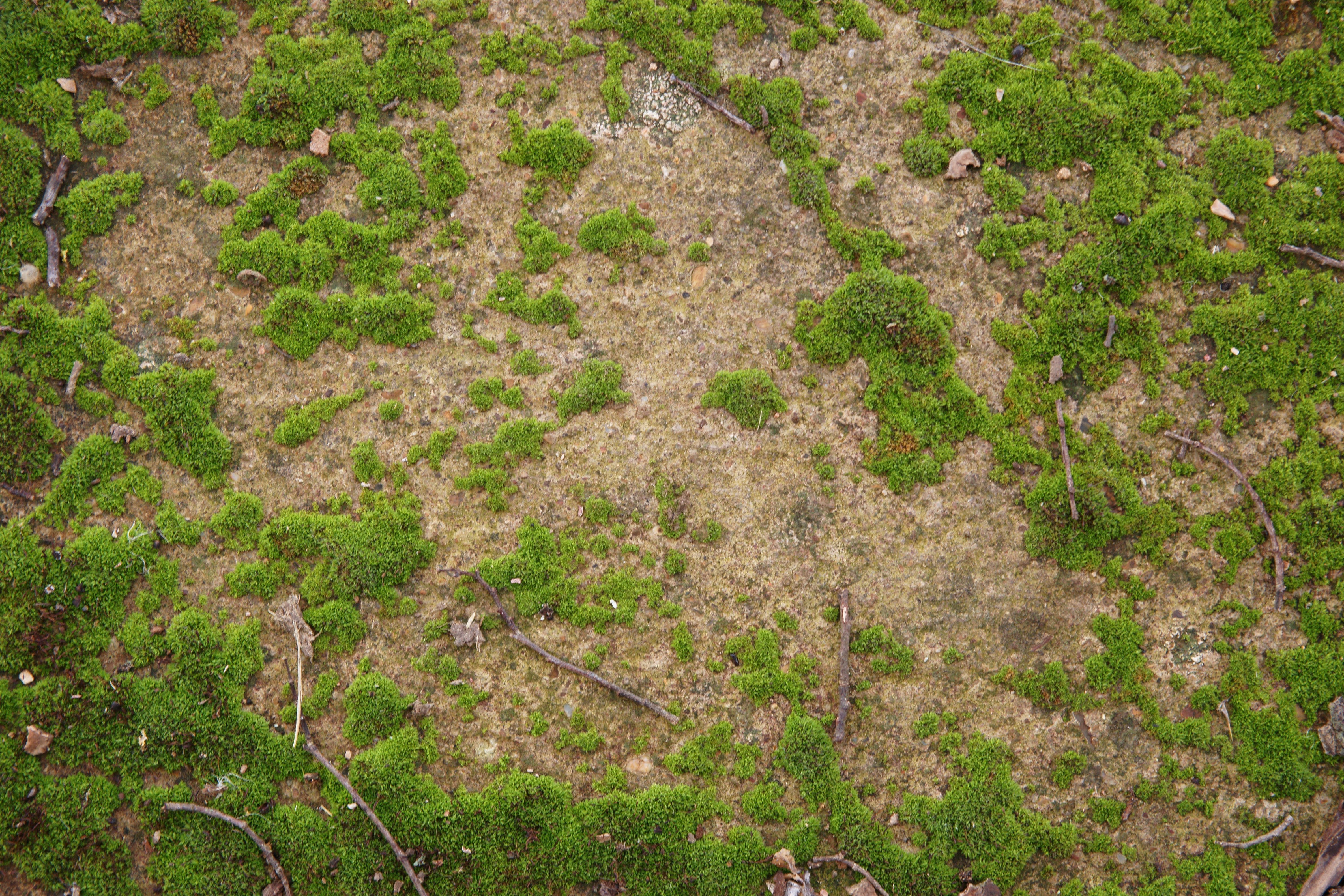 Бесшовная текстура земли с травой - 73 фото