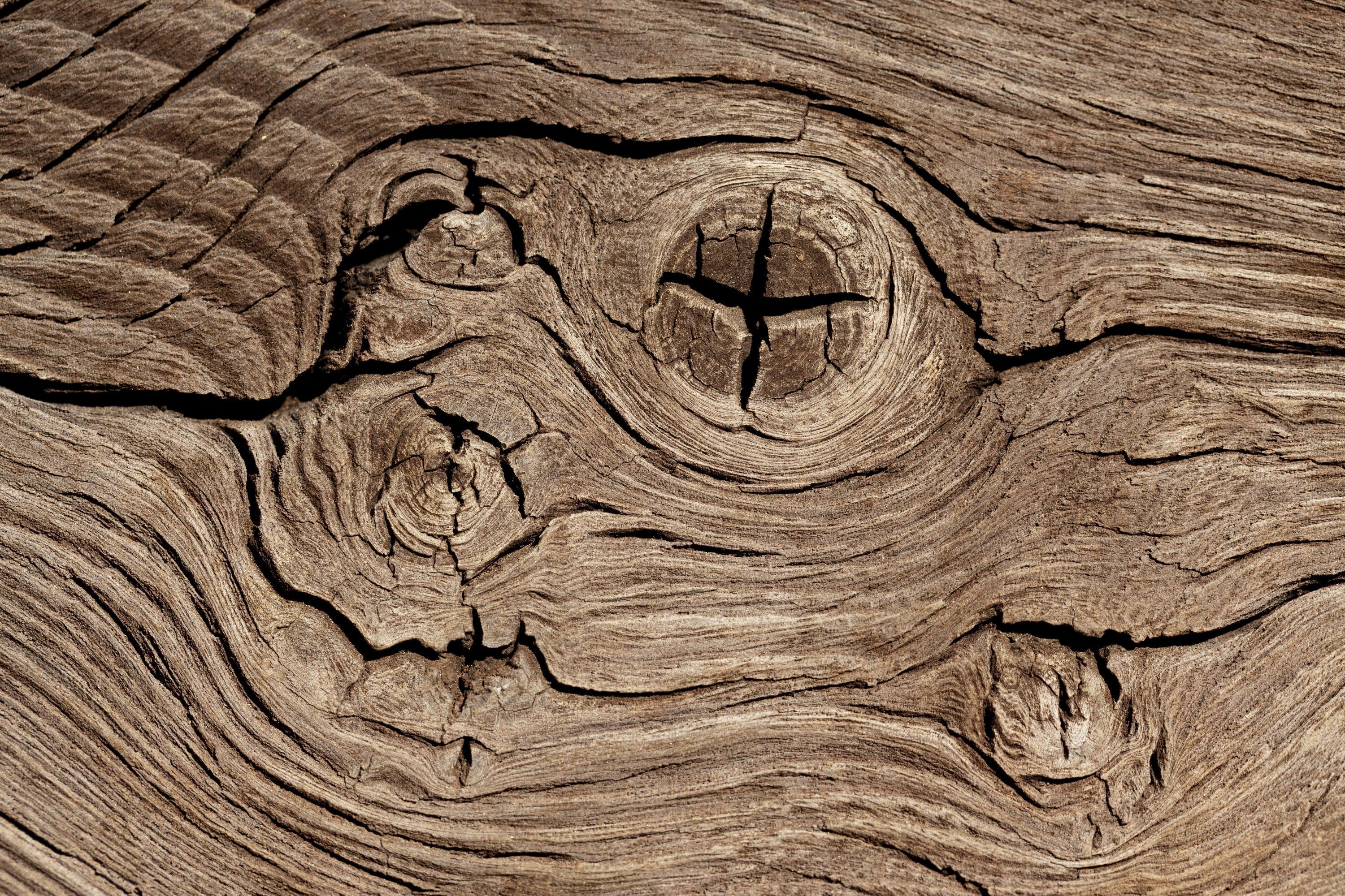 Трещина в доске. Граб текстура древесины. Фактура дерева. Структура дерева. Срез старого дерева.