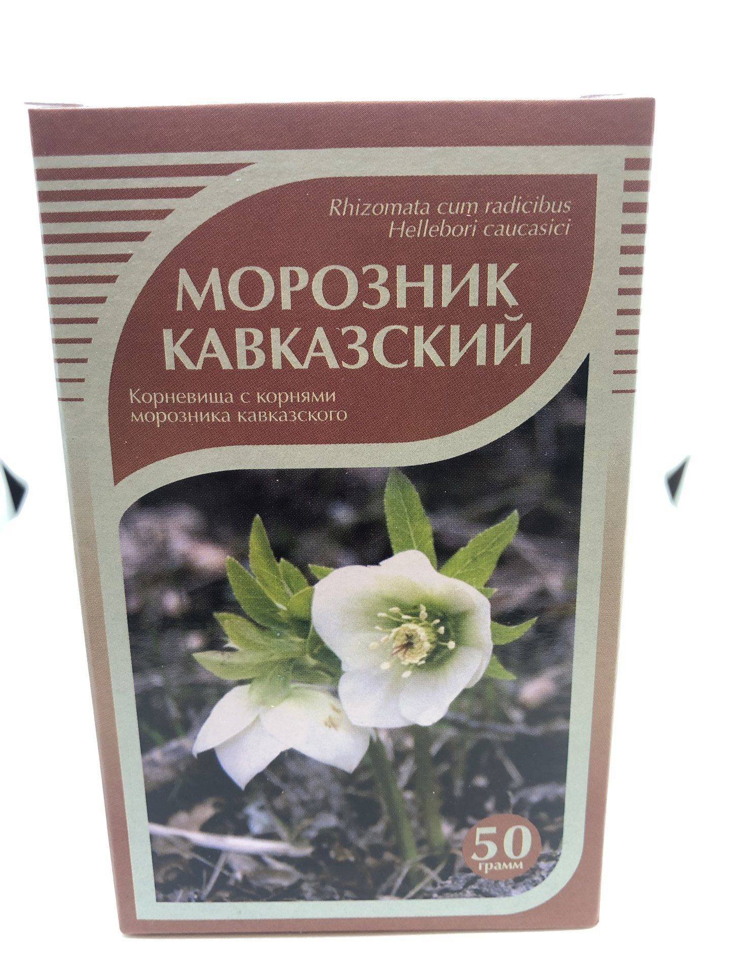 Морозник купить в аптеке. Морозник кавказский. Морозник кавказский корневища с корнями упак. 50г. Морозник кавказский Хорст. Морозник цветок корневище.
