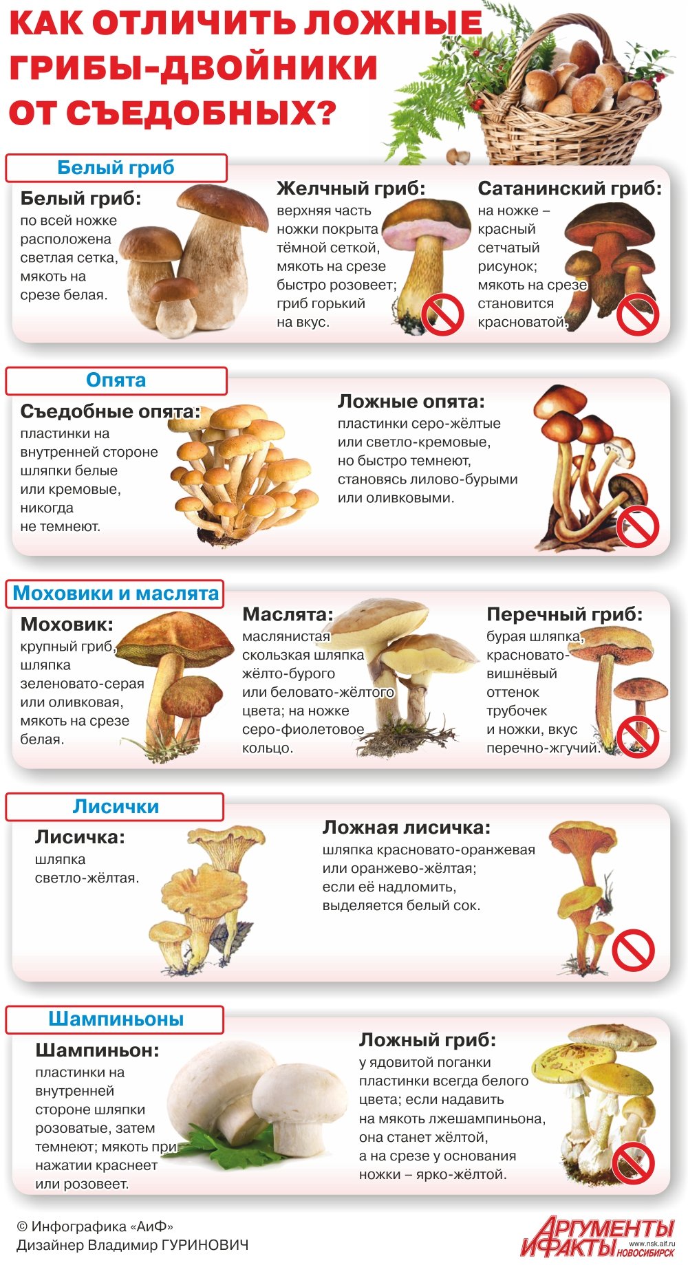 Как отличить съедобные грибы от ядовитых?