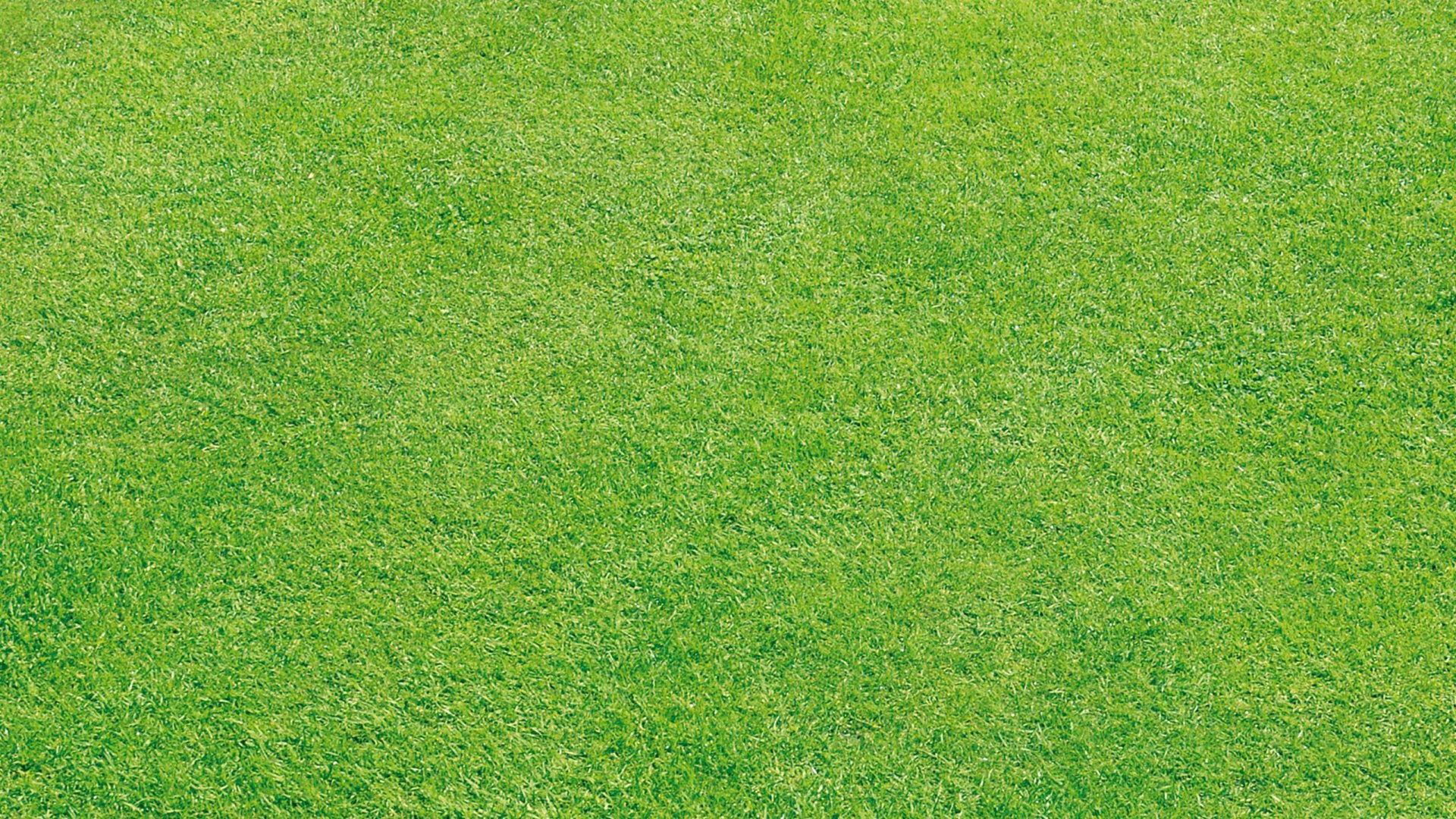Текстура травы без швов - 38 фото