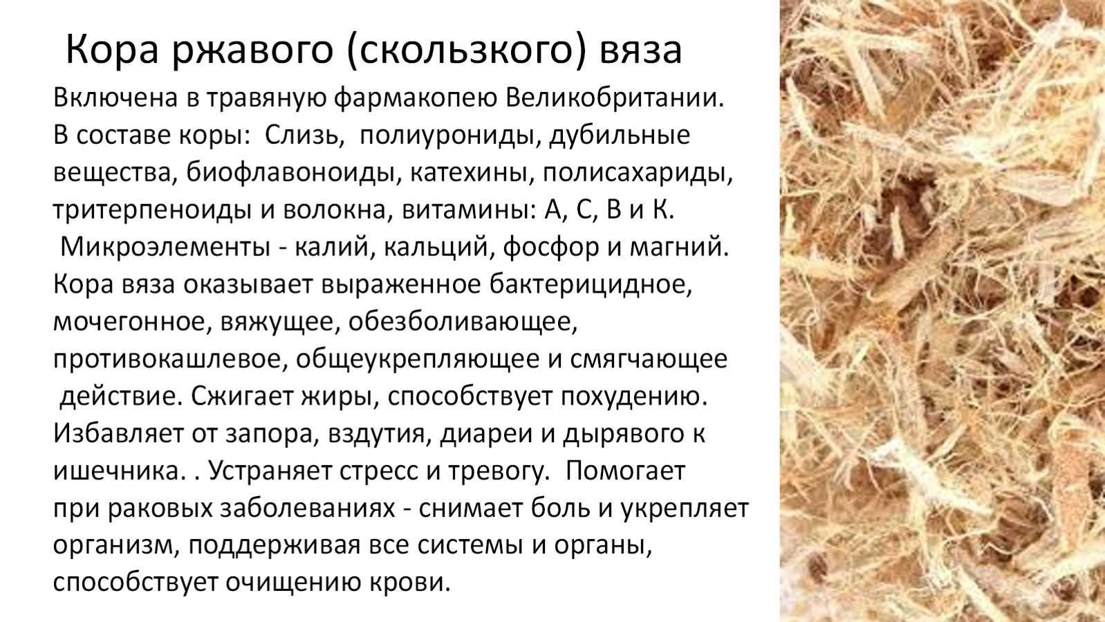 Кора Скользкого Вяза Купить В Аптеке