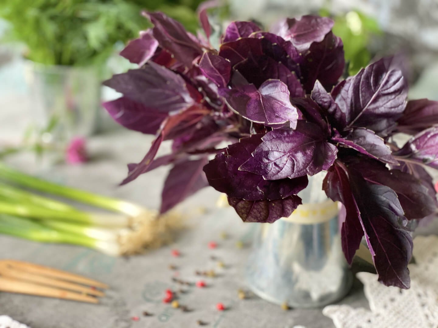 Пряная листва. Базилик Реган фиолетовый. Базилик базилик фиолетовый. Базилик овощной фиолетовый.