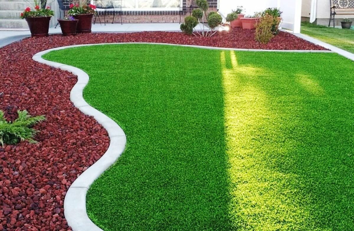 Декоративная газонная трава