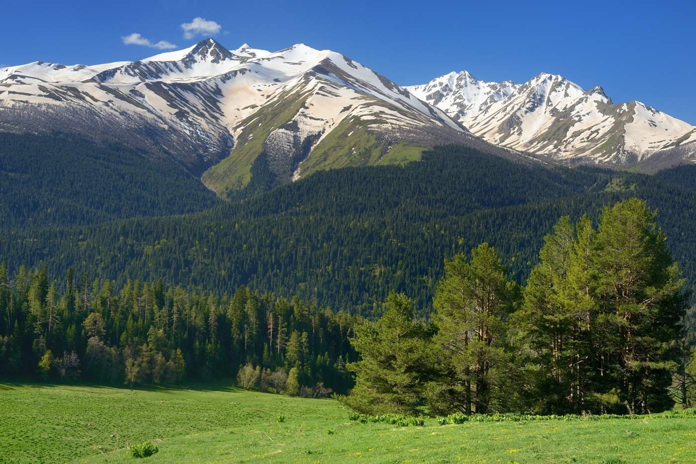 Бардовская Поляна Архыз