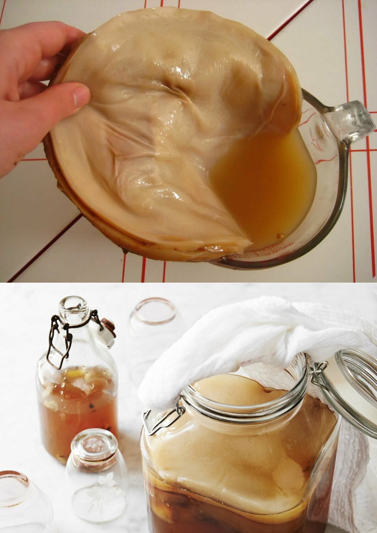 Как промыть чайный гриб