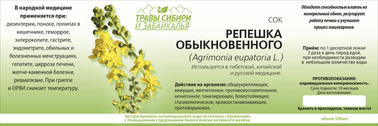 Пустырник сердечный Самарский