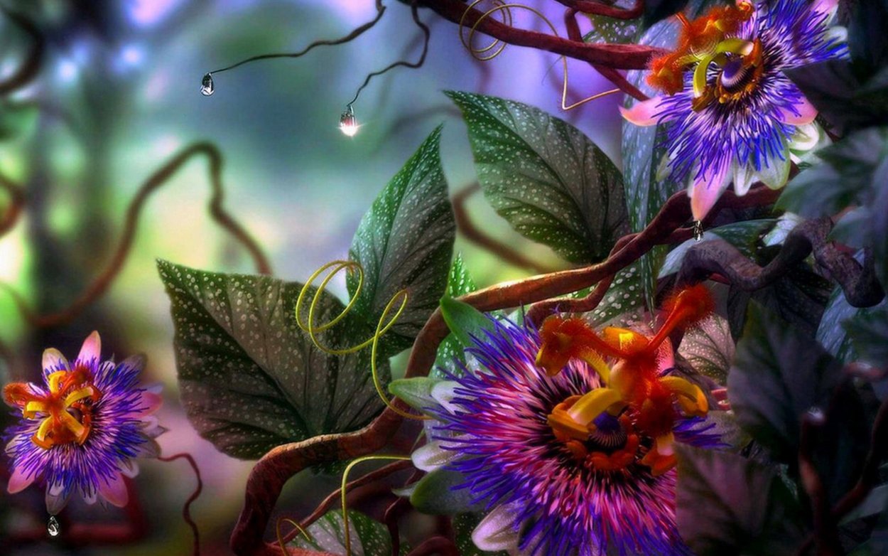 Магические цветы