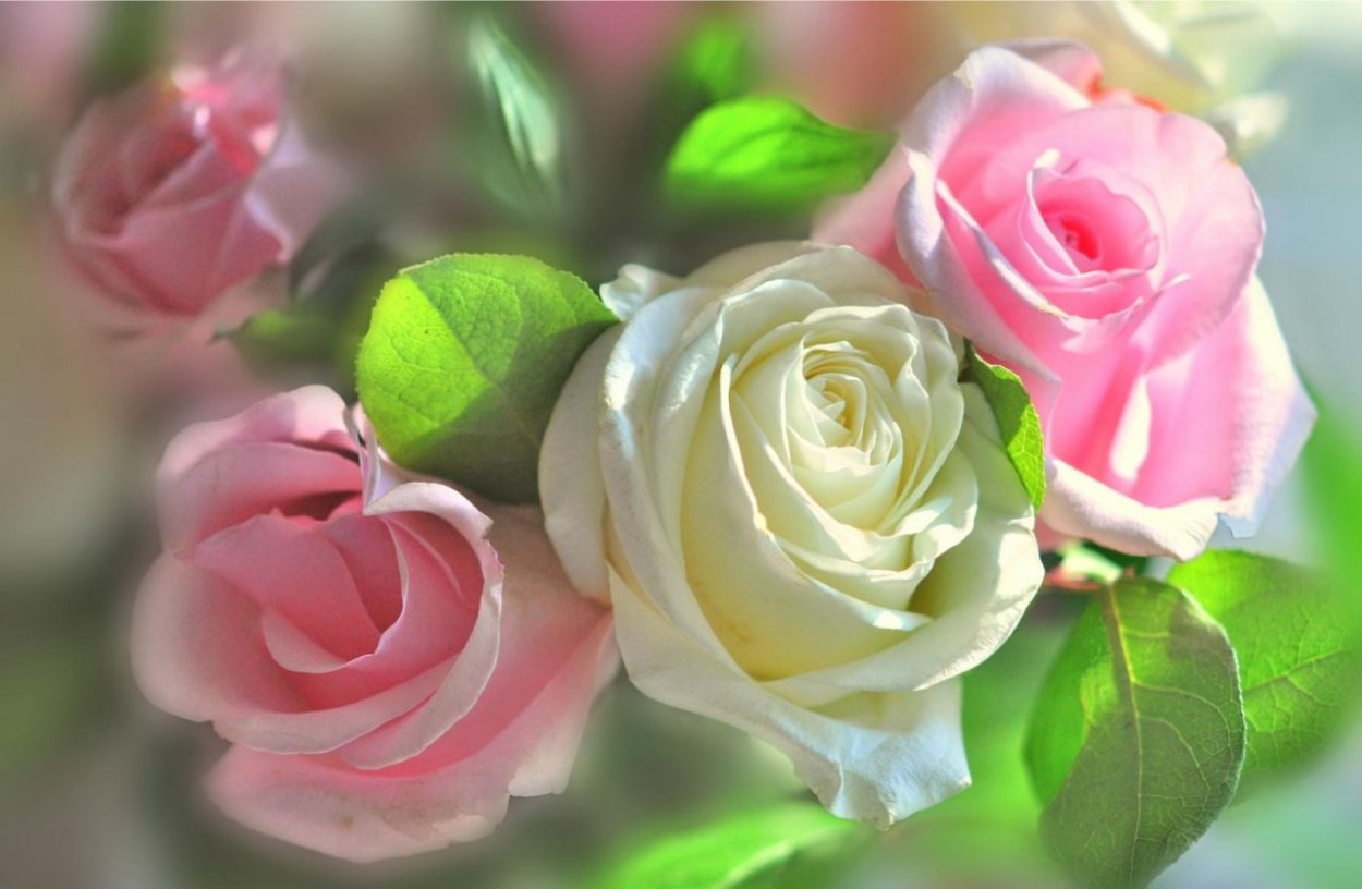 Сказочные цветы