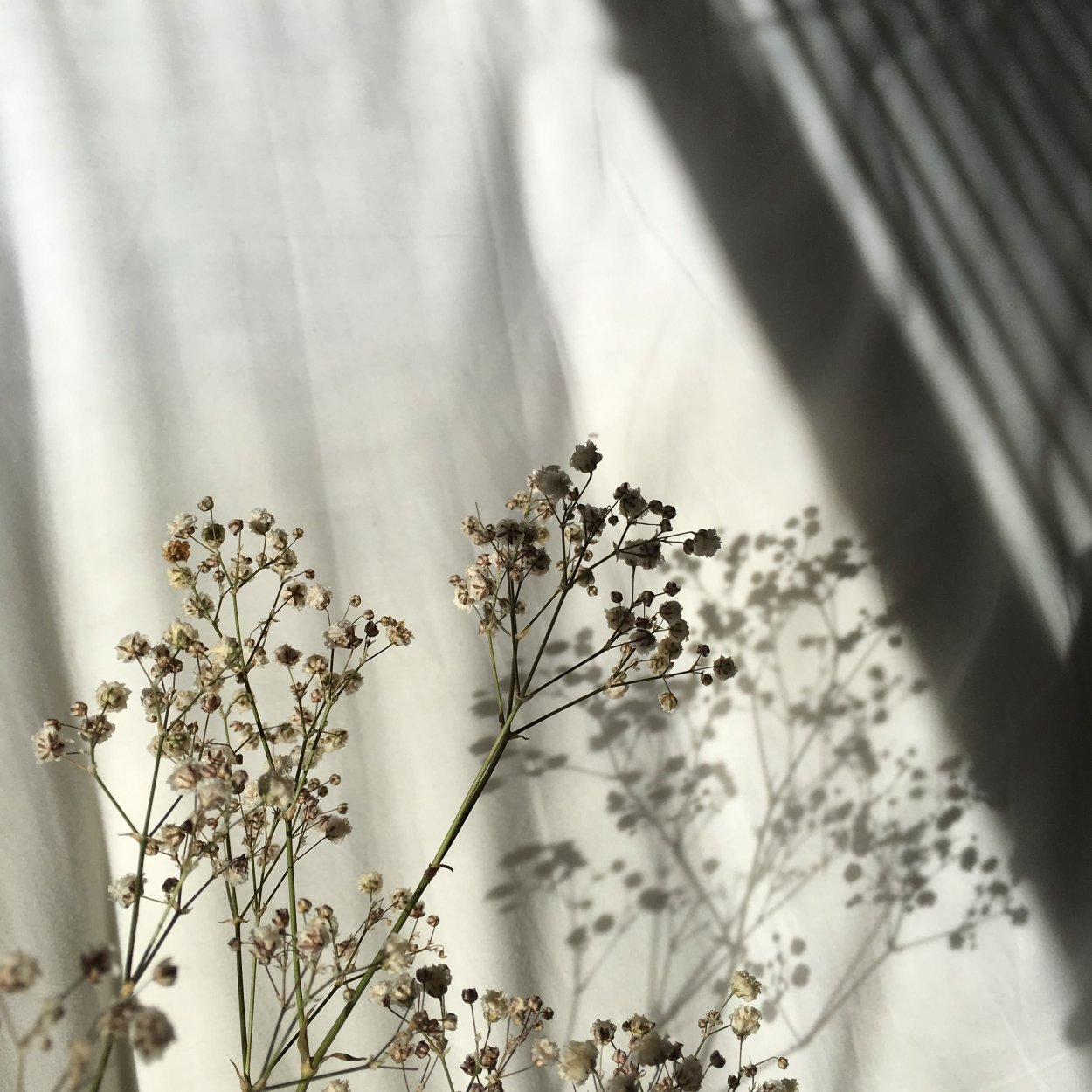 Пастельные цветы