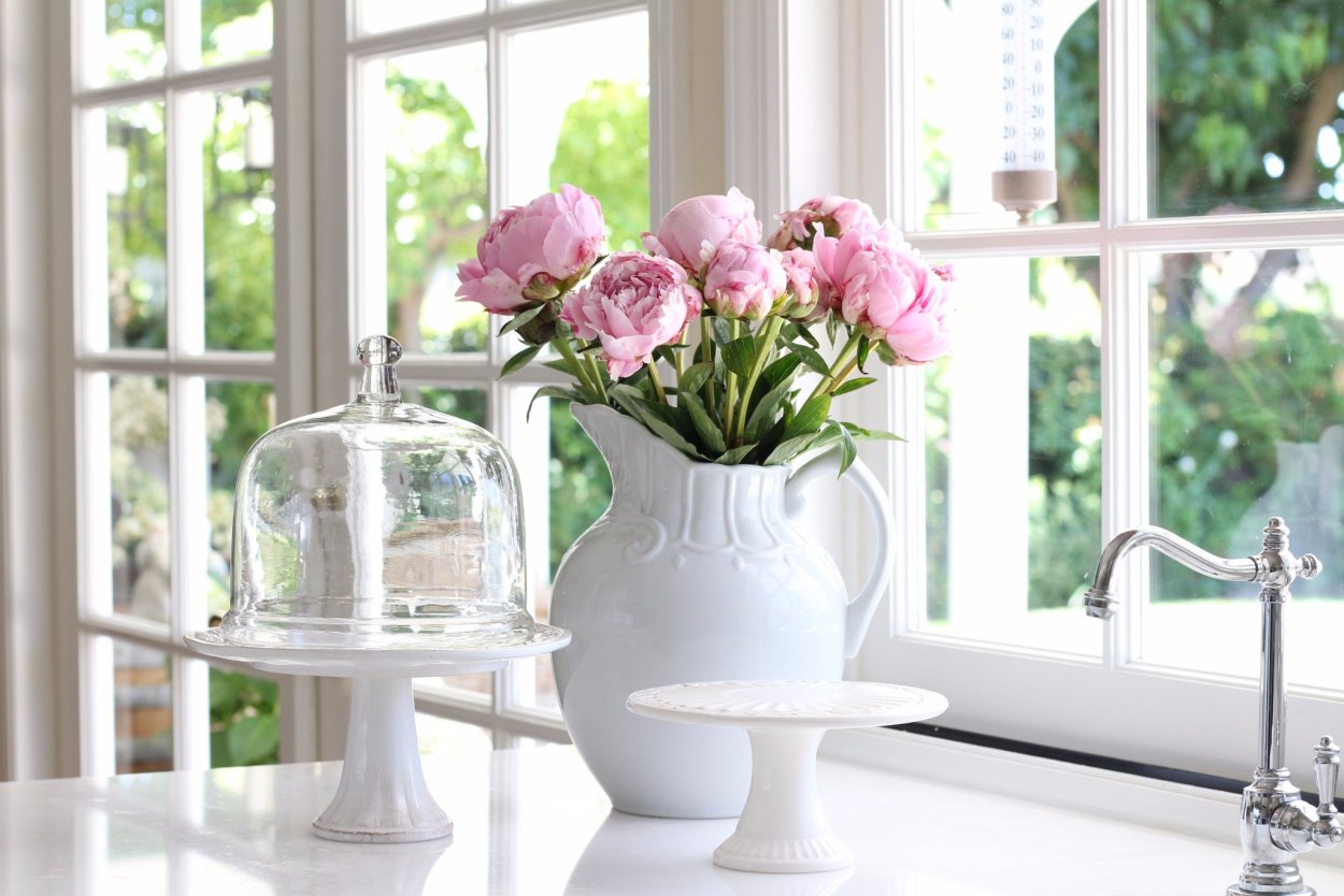 Цветы на окне