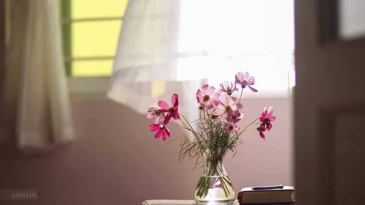 Цветы на столе