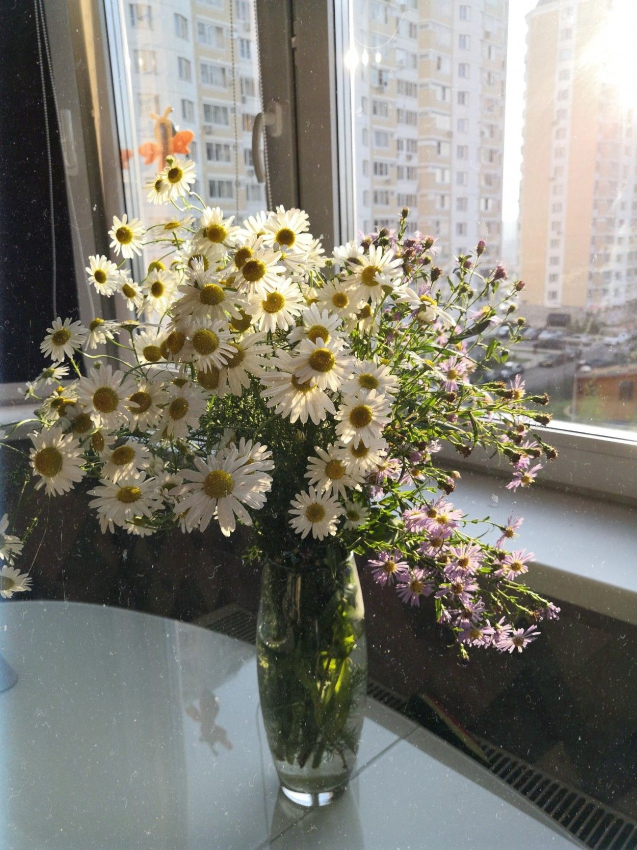 Букет ромашек на окне