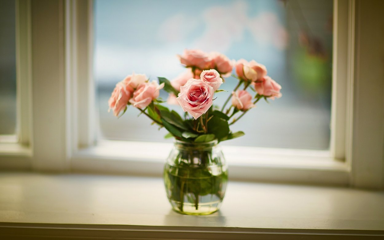 Цветы в вазе на подоконнике