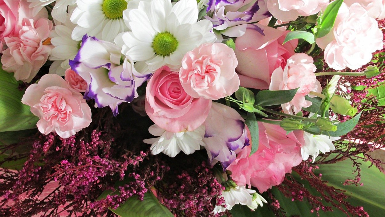 Букеты цветов oboi