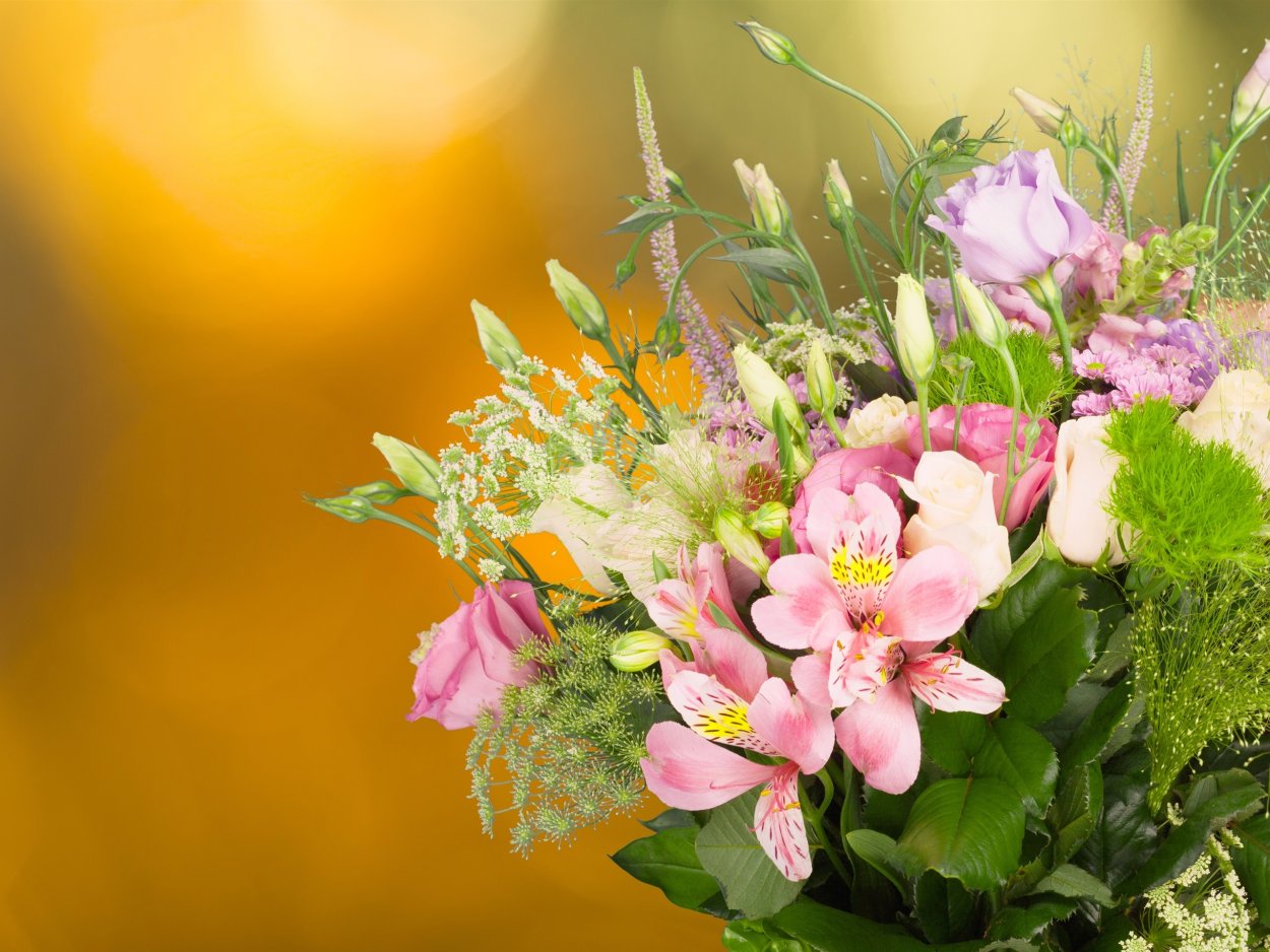 Красивые бело розовые цветы