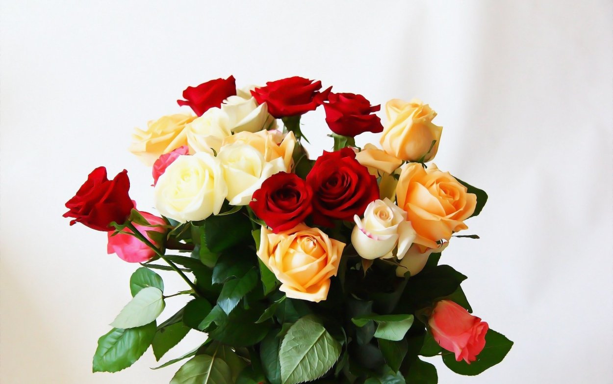 Открытки с цветами красивые