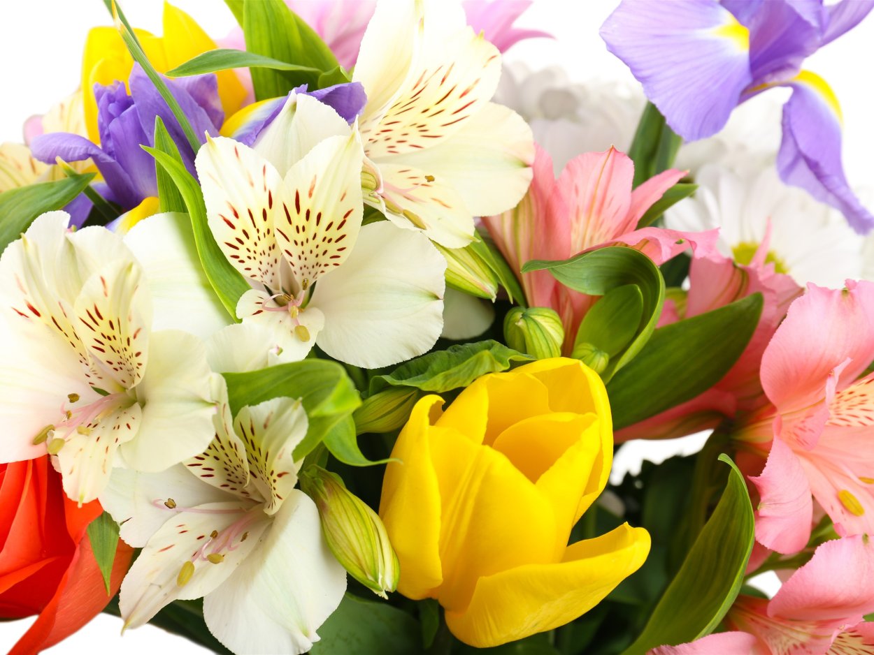 Нежный букет