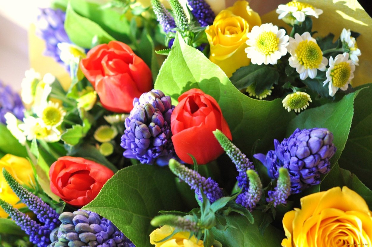 Букет цветов на красивом фоне