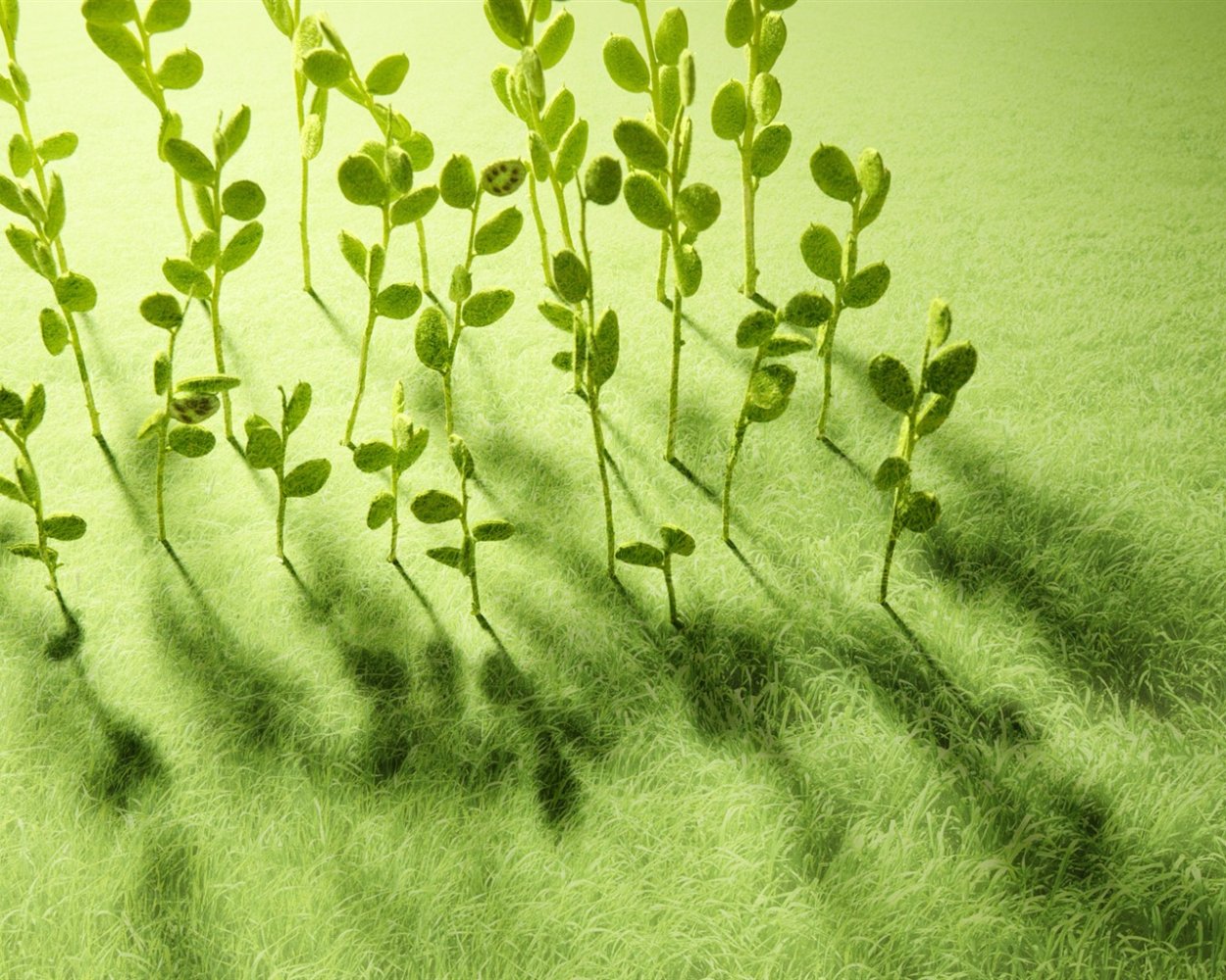 Растительный фон