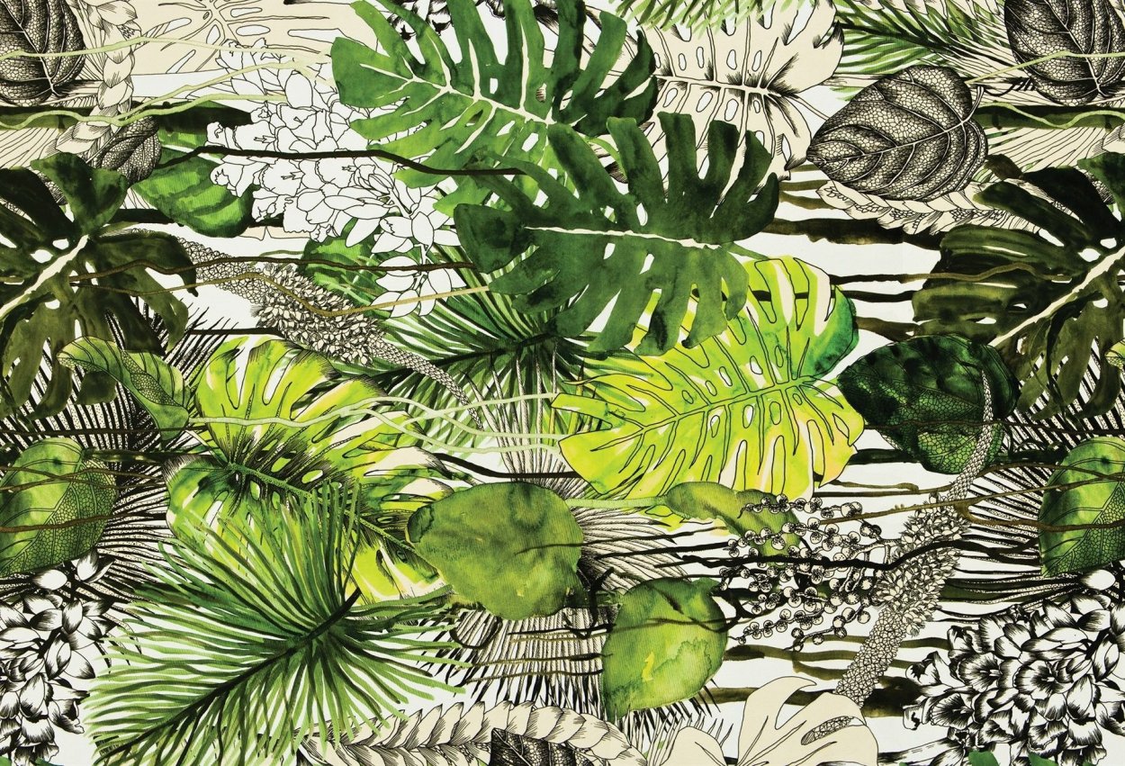 Сциофиты тенелюбивые растения