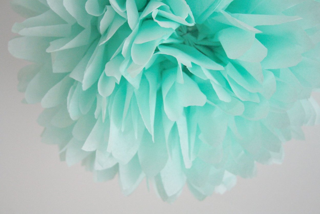 Нежные огромные цветы на мятном фоне