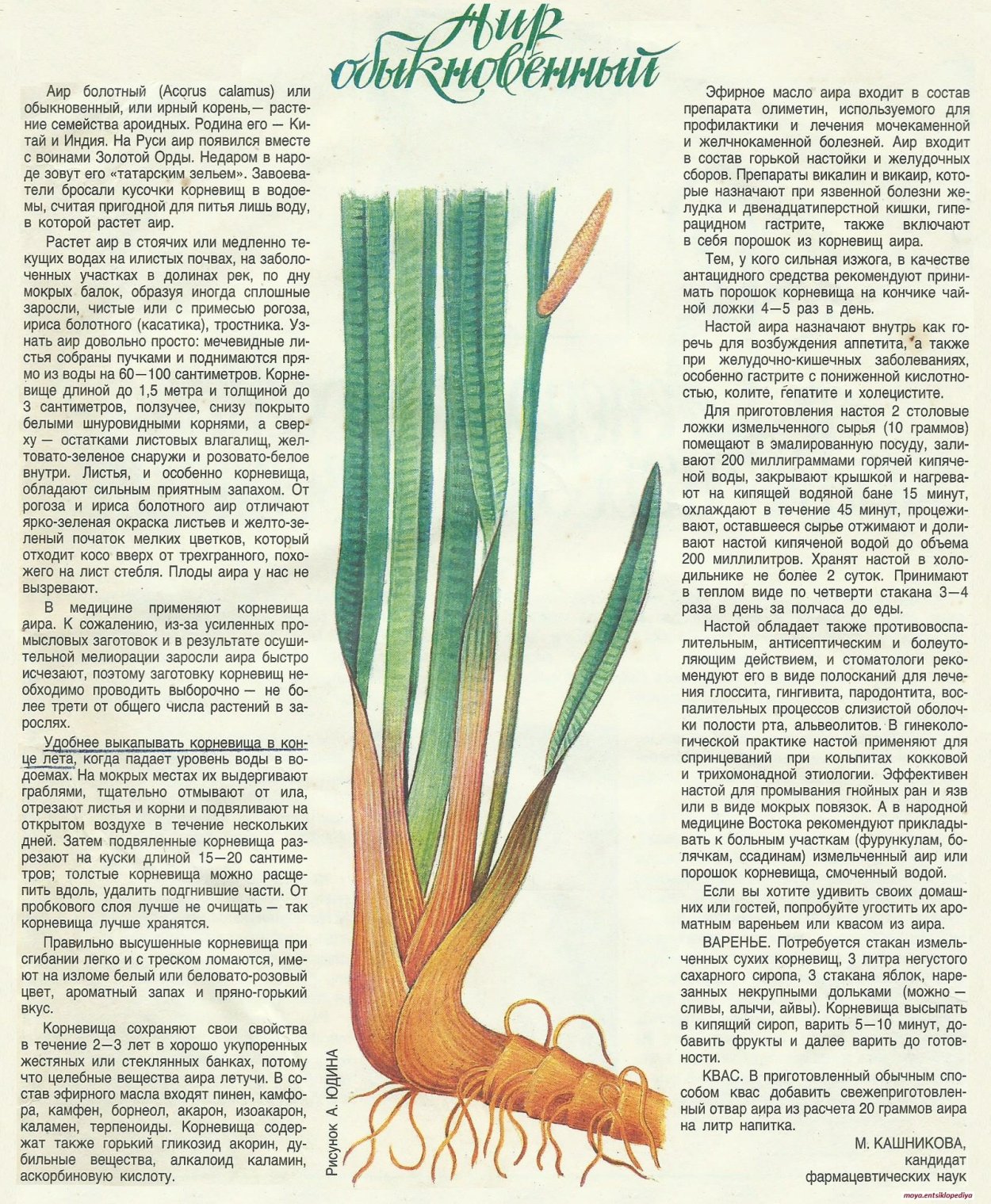 Чукотский автономный округ природа