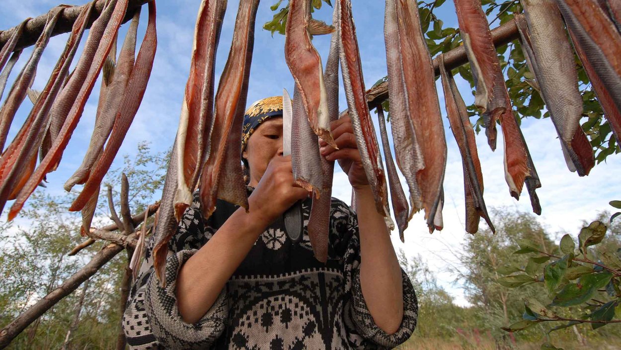 Увядший цветок в горшке