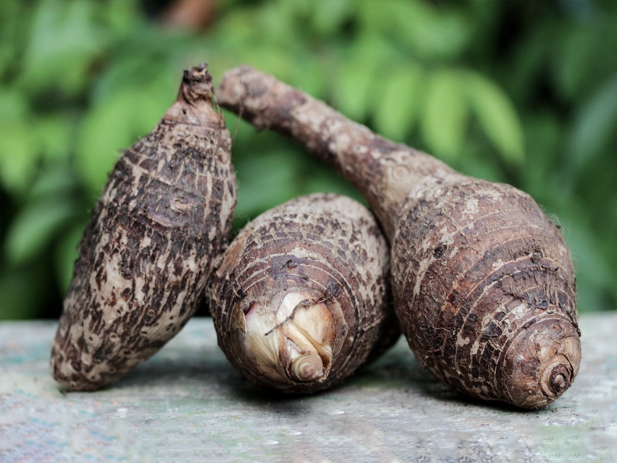 Taro leaves
