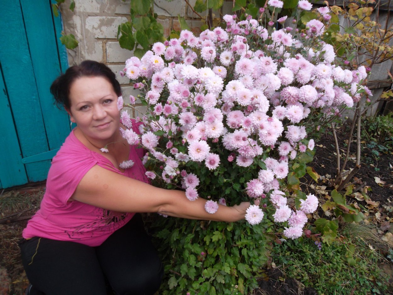 Обриета р9 Каскад Блю