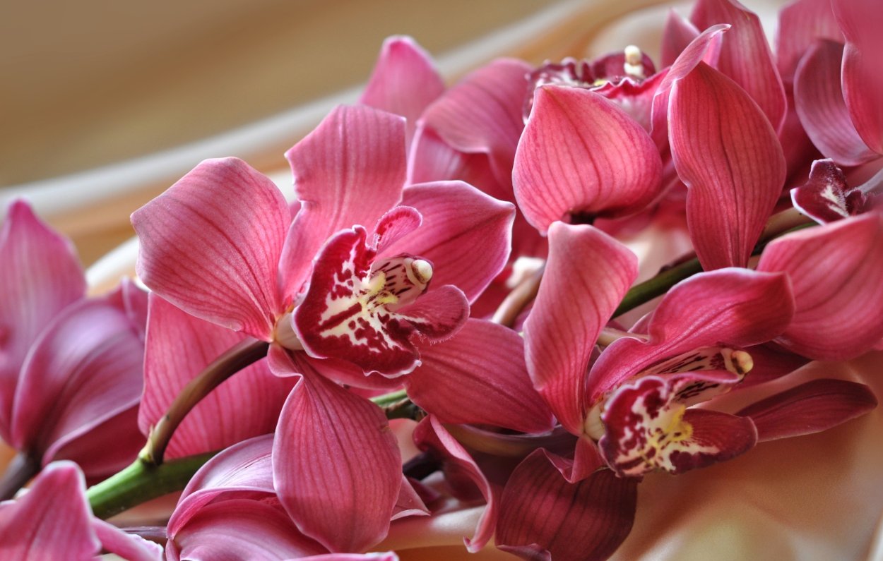 Букет с орхидеей