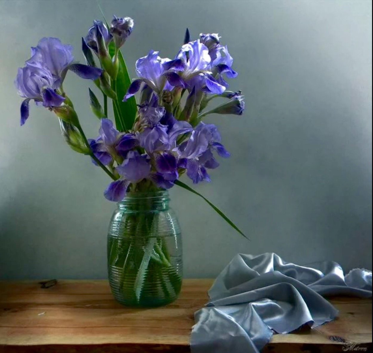 Елена Татульян цветы ирисы