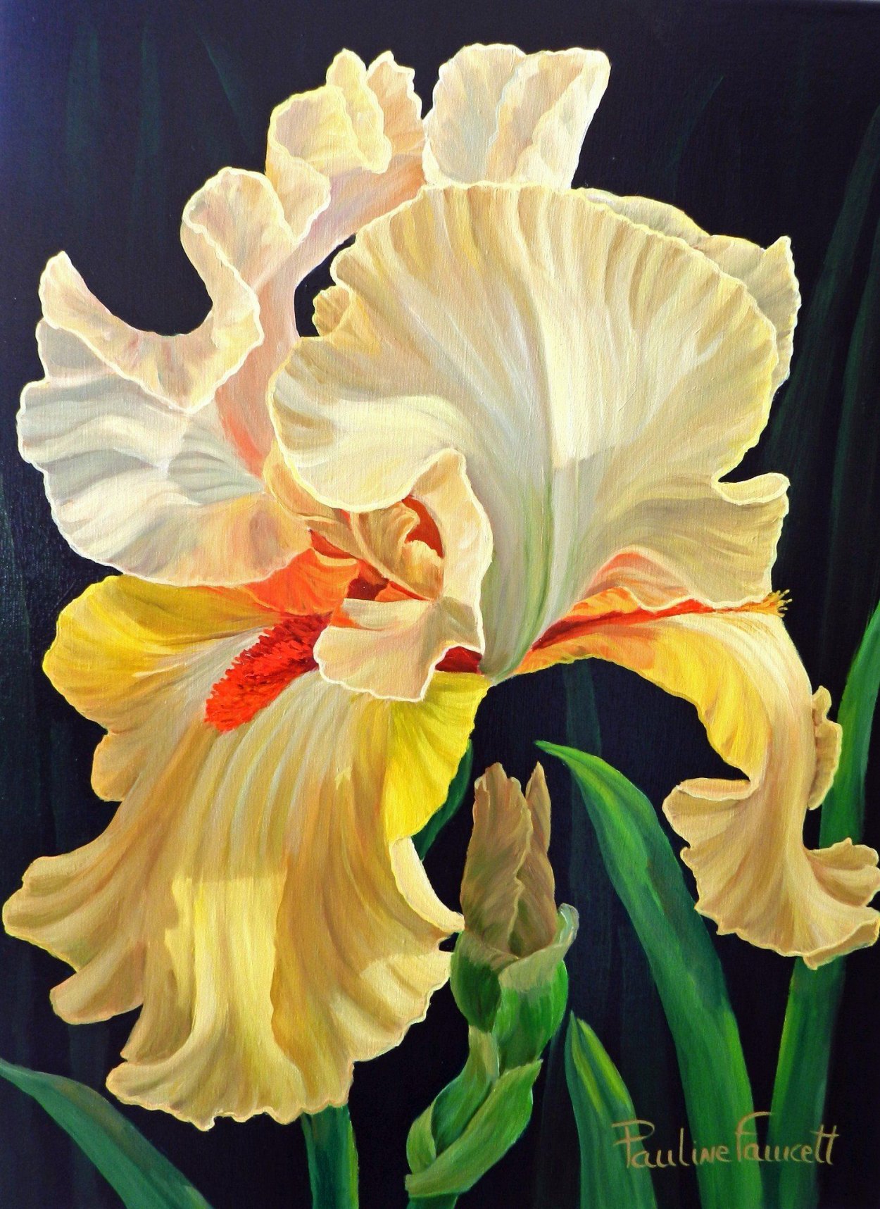 Ирис Дебора