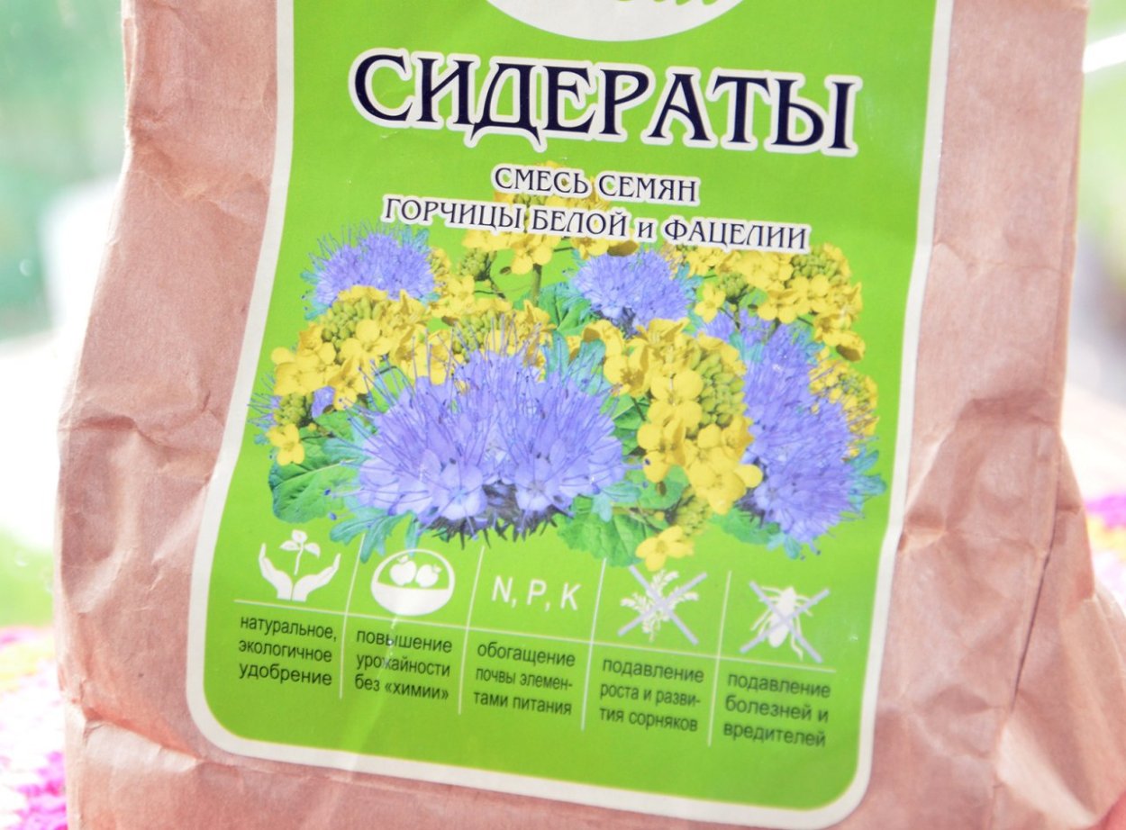 Сидераты весной таблица