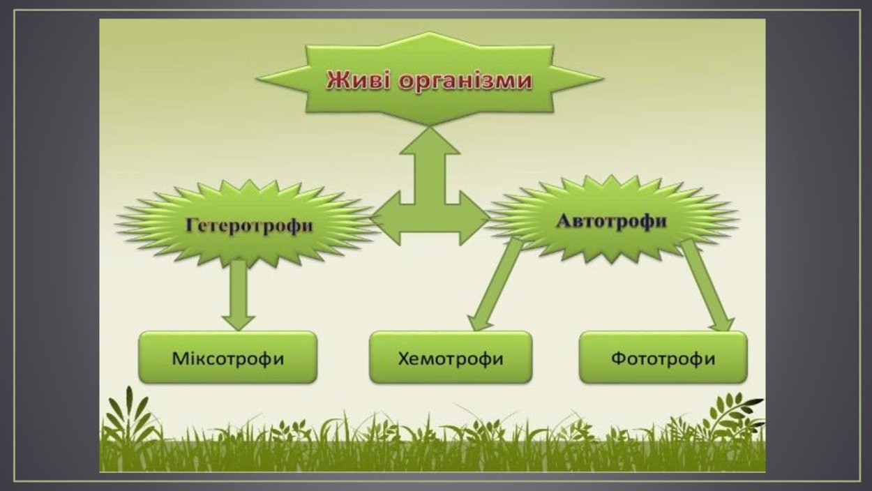 Классификация культурных растений