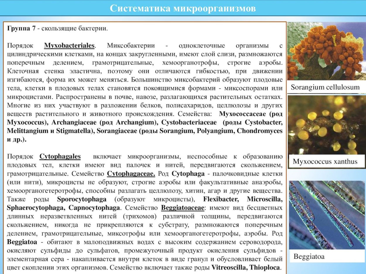 Хищные Насекомоядные растения