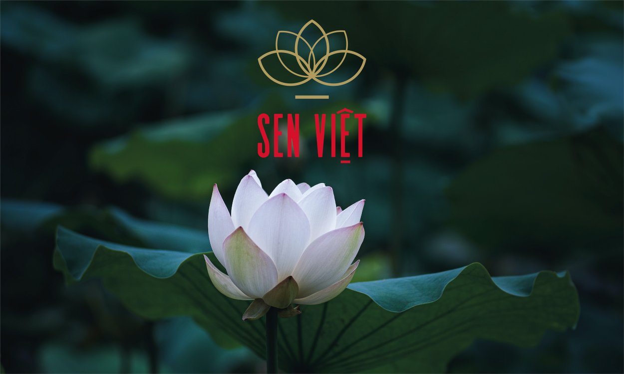 Пионовидный Лотос