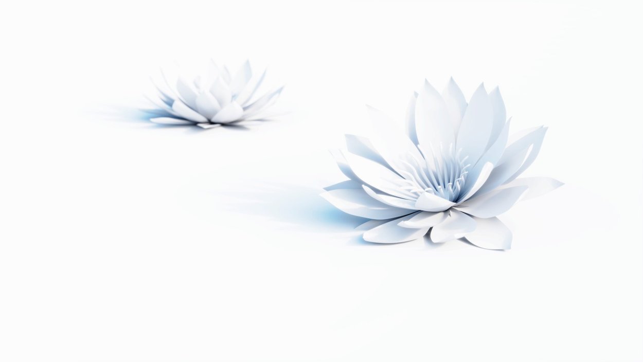 Белый Лотос на белом фоне