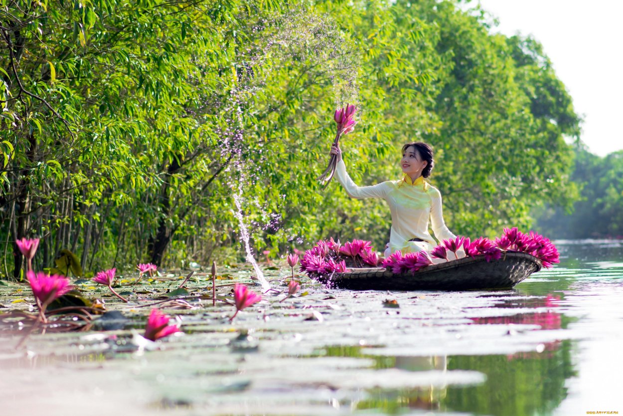 Белые цветы на белом
