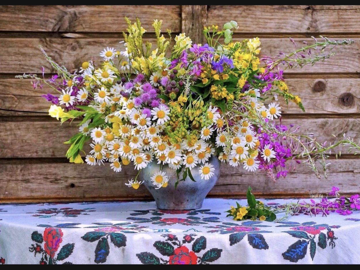 Василек синий на клумбе