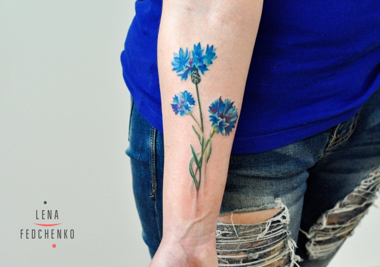 Василек Королевский многолетний