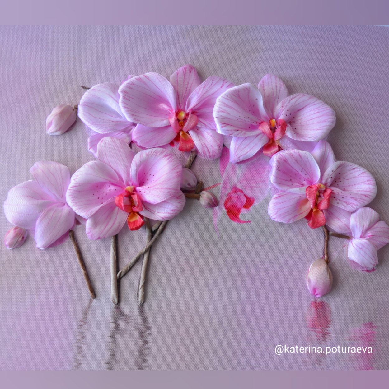 Фаленопсис Грин Эппл